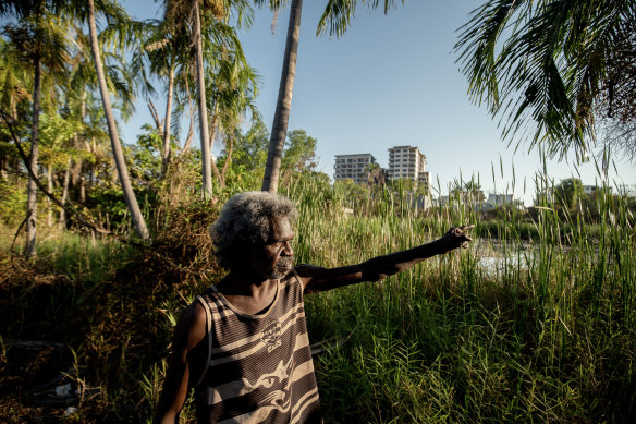 One Mile Dam sits on prime real estate on the edge of Darwin's CBD. 