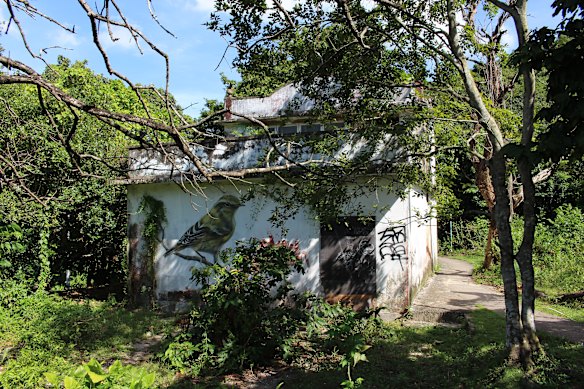 A caminhada artística.