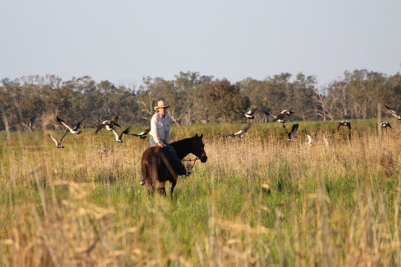 Garry Hall, a grazier in the Macquarie Marshes region on northern NSW, says the success of the disallowance motion is the first step in reining in unchecked floodplain water take.