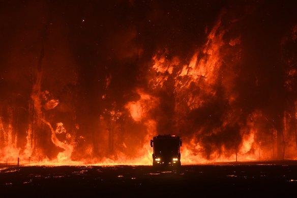 Bushfires scorched through some 12 million hectares across Australia last summer.