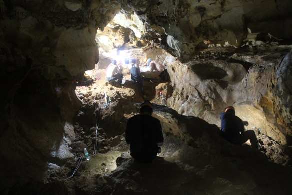Digging into the hard cemented cave sediments containing a wealth of fossils and evidence of G. blacki in a southern China cave.