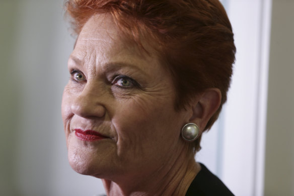 One Nation Leader Pauline Hanson asked the government to make her the co-chair of the parliamentary committee.
