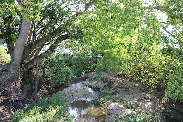 Elliot believes Moolabin Creek – like Kedron Brook in Stafford – is underutilised.