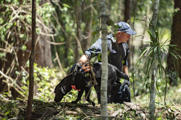 Police at the patch of bushland this week.