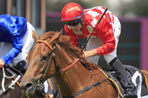 She’s Extreme landed the group 1 Champagne Stakes  and is the top selection for the Golden Rose.