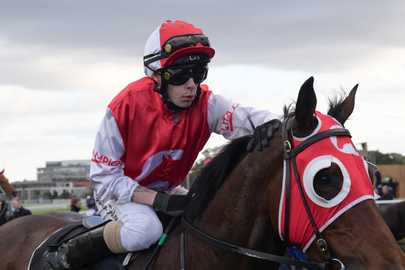 Southern Lad looks to return to the winner's circle at Randwick on Saturday to keep the momentum of the John O'Shea rolling in 2020.