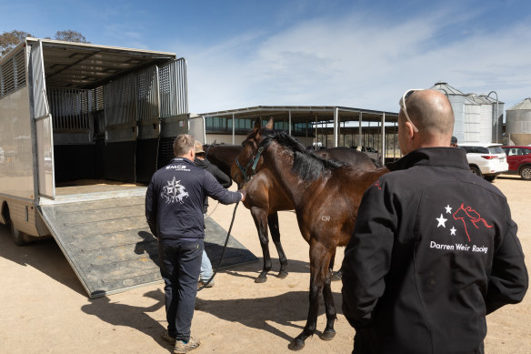 Horses are removed from Darren Weir’s property on Wednesday ahead of his two-year ban.