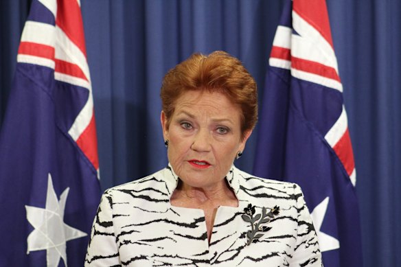 Pauline Hanson speaking to reporters from Brisbane on Friday.