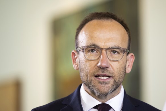 Greens leader Adam Bandt said the only obstacle to the passage of safeguard mechanism legislation was the government.