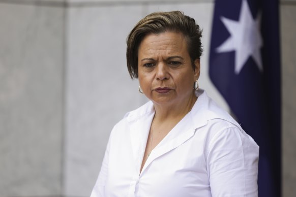 Not a single senator outside the Labor Party has said they would 
 support Communications Minister 
 Michelle Rowland’s plan.