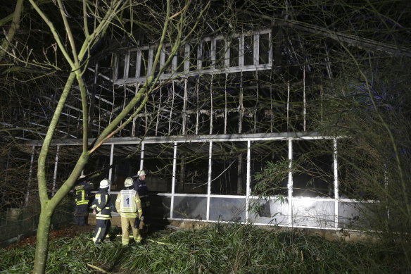 Chimpanzees, orang-utans and gorillas were killed in the blaze.