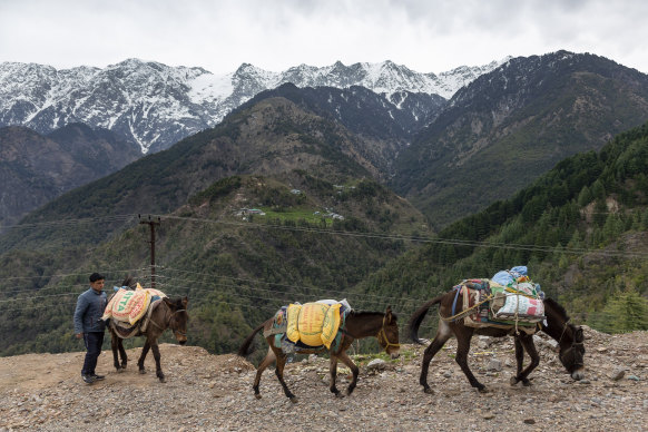 The snow-covered peaks of the Dhauladhar range of the Himalaya. The mountain range has been seen from far afield for the first time in decades. 