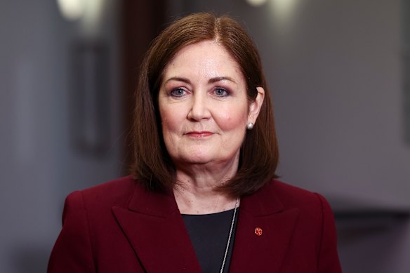 Opposition communications spokeswoman Sarah Henderson.