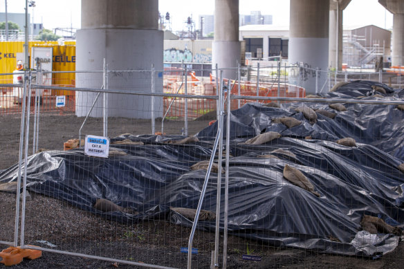 Piles of contaminated soil from the West Gate Tunnel project.