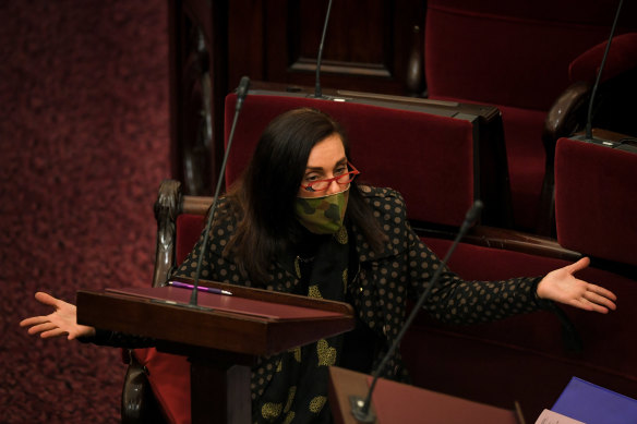 Former MP Catherine Cumming in parliament in 2020.