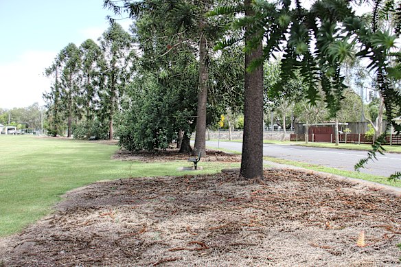 The trees represent the 52 locals killed in WWI, according to government records.
