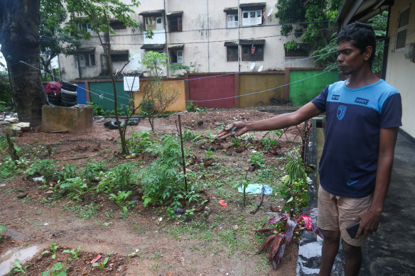 Sandun Rohitha has started growing vegetables in a sandy plot near his house: “I want my child to be in a better place than I am.”