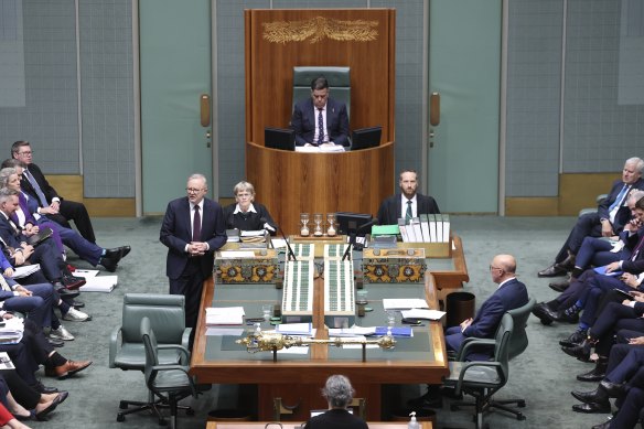 Anthony Albanese addresses the parliament on the final sitting day of 2024.
