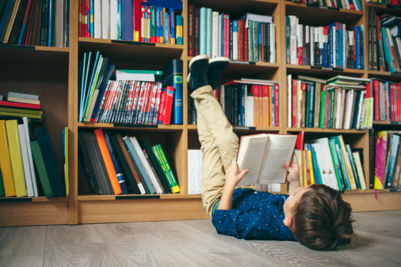 NSW’s curriculum emphasises literacy as aligned to science by focussing on phonics, spelling, vocabulary and comprehension.
