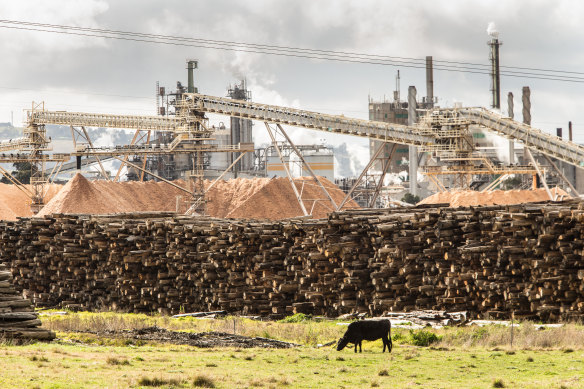 A shortfall in timber supply has the potential to threaten the future of the Opal plant near Morwell.