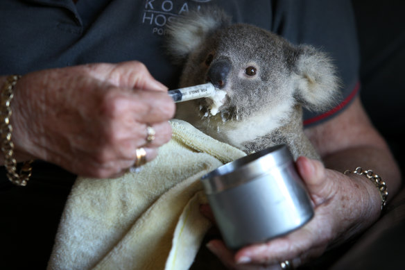 NSW wildlife rescue volunteers provide a service worth $27 million a year.