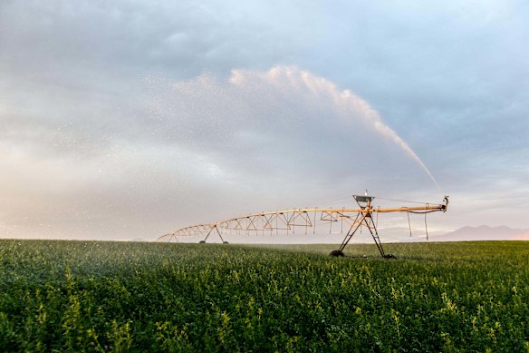 Amway is leaning into traceability and quality control as a point of difference.