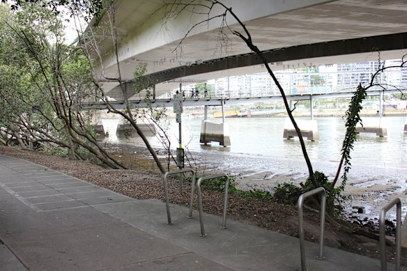 Ocean Crusaders said the easiest fix would be to erect barriers under the Riverside Expressway and at other hotspots.