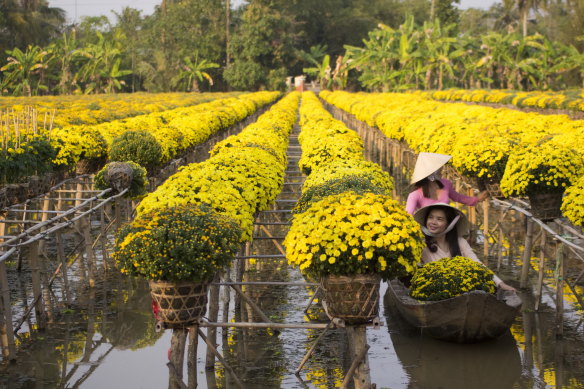 A flower farm in Sa Dec.