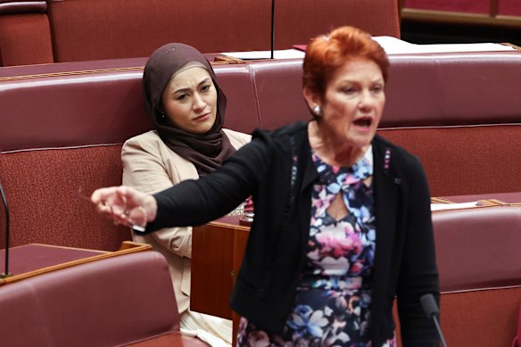 Pauline Hanson addresses the Senate.