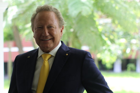 Fortescue chairman Andrew ‘Twiggy’ Forrest at the Bloomberg New Economy Forum in Singapore. 