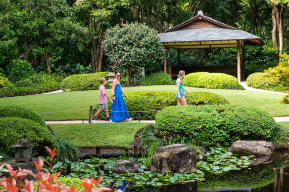 Brisbane Botanic Gardens.