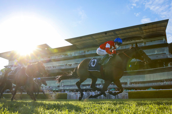 Icebath takes out the Invitation last year, her biggest win, which she will out to usurp in the Epsom at Randwick on Saturday. 