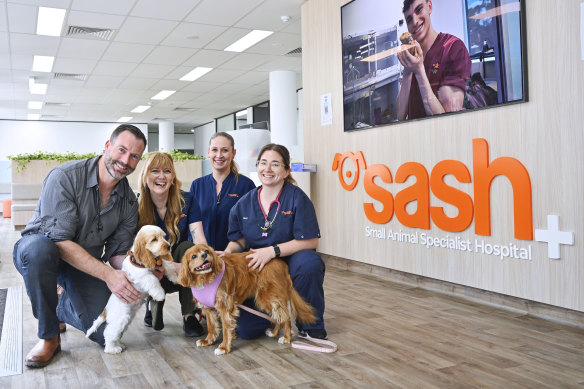 SASH’s specialist vets devote their care to 18,000 cases per year.