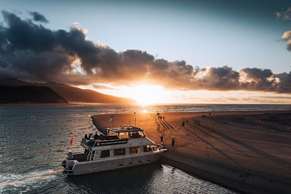 Sunset cruise with Raglan Boat Charters.