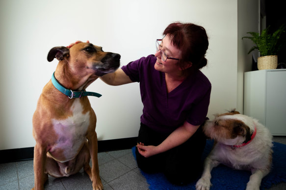 Summer Hill vet, Sandra Hodgins, with two bonded dogs, Liam and Maya.