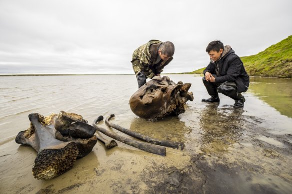 People study a mammoth bone fragment in the Pechevalavato Lake in the Yamalo-Nenets region, Russia.