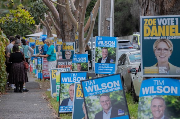 The corflute battle between independent Zoe Daniel and Liberal candidate Tim Wilson in Melbourne.