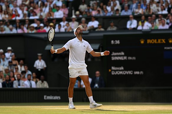 It was a frustrating afternoon on Wimbledon’s centre court for Novak Djokovic.