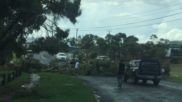 A downed tree blocks a road in Geelong after a storm on Saturday afternoon.