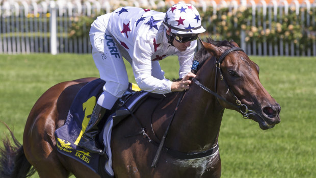 Kind draw: Sunlight will go into the Golden Slipper as the favourite.