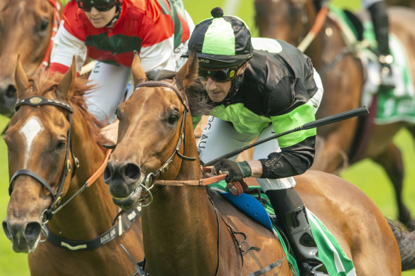 Race-by-race tips and previews for Warwick Farm on Wednesday
