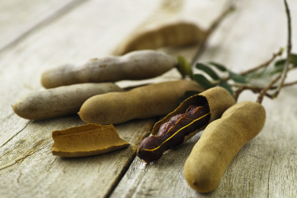 Freshly picked tamarind pods.