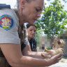 RSPCA inspector Narelle Neate inspecting a puppy later voluntarily relinquished to the RSPCA.