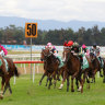 Hawkesbury will host an eight-race meeting on Wednesday.