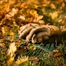 Whatever you do, don’t send your autumn leaves off in the green waste.
