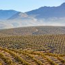 You may not have heard of this place, but you’ve probably tasted its produce