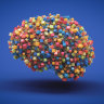 Myth busted: the idea the brain doesn’t fully develop until 25 is wrong