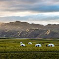 The traditional ger homes of Mongolia.