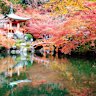 Autumn colour in Kyoto.