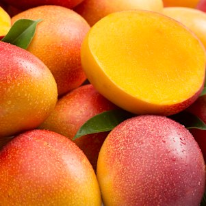 Mangoes are coming into season.